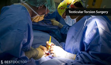 follow up after tmedical test torsion|testicular torsion surgery guidelines.